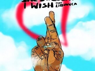 Jae5 - I Wish ft Lojay, Libianca