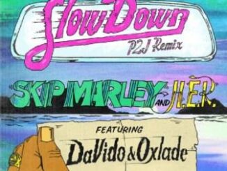 Skip Marley - Slow Down (Remix) ft Davido, Oxlade & H.E.R