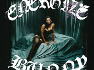 Energize Bunny by Roy Woods