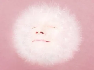 Juana Molina  DOGA Album Mp3 Download