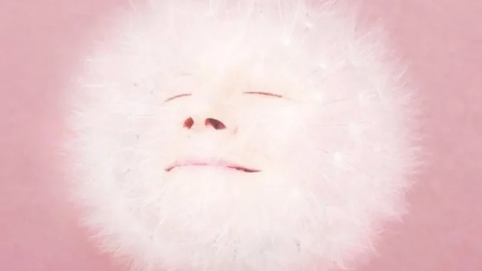 Juana Molina  DOGA Album Mp3 Download