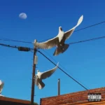 Machine Gun Kelly  Your Name Forever Mp3 Download