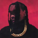 Wale  City on Fire  Mp3 Download